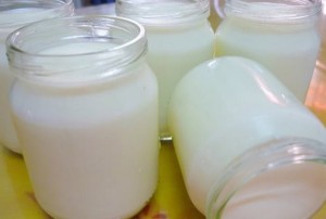Cách làm sữa chua từ sữa bột công thức – Món ngon cho bé ăn dặm